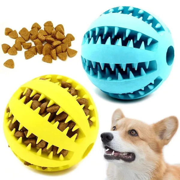 Bite-Proof Dog Play Ball