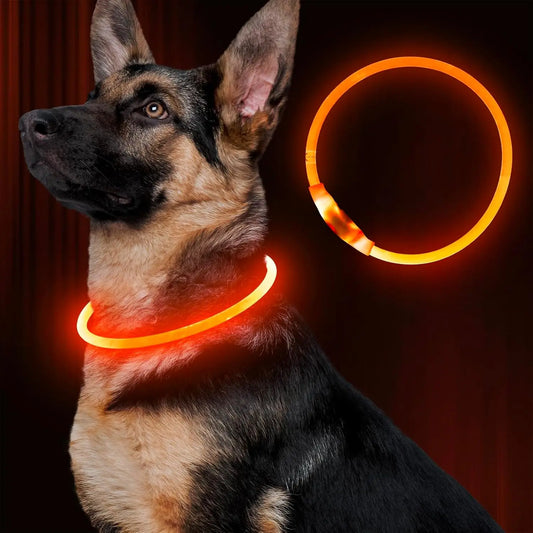 GlowSafe LED Dog Collar
