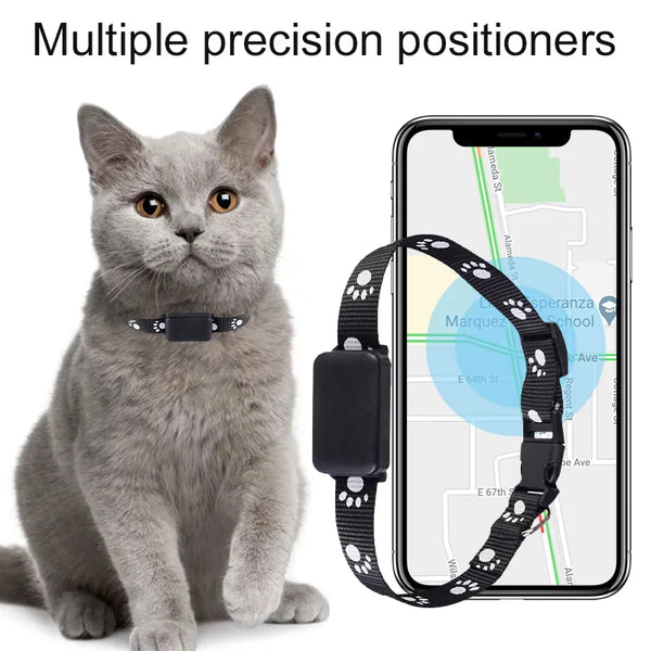 Collar GPS para mascotas Adventure